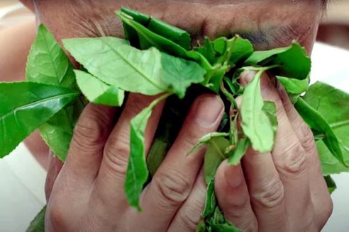 Witamina A - prawidlowe widzenie